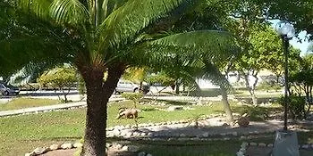 Oasis Praia Hotel Coroa Vermelha